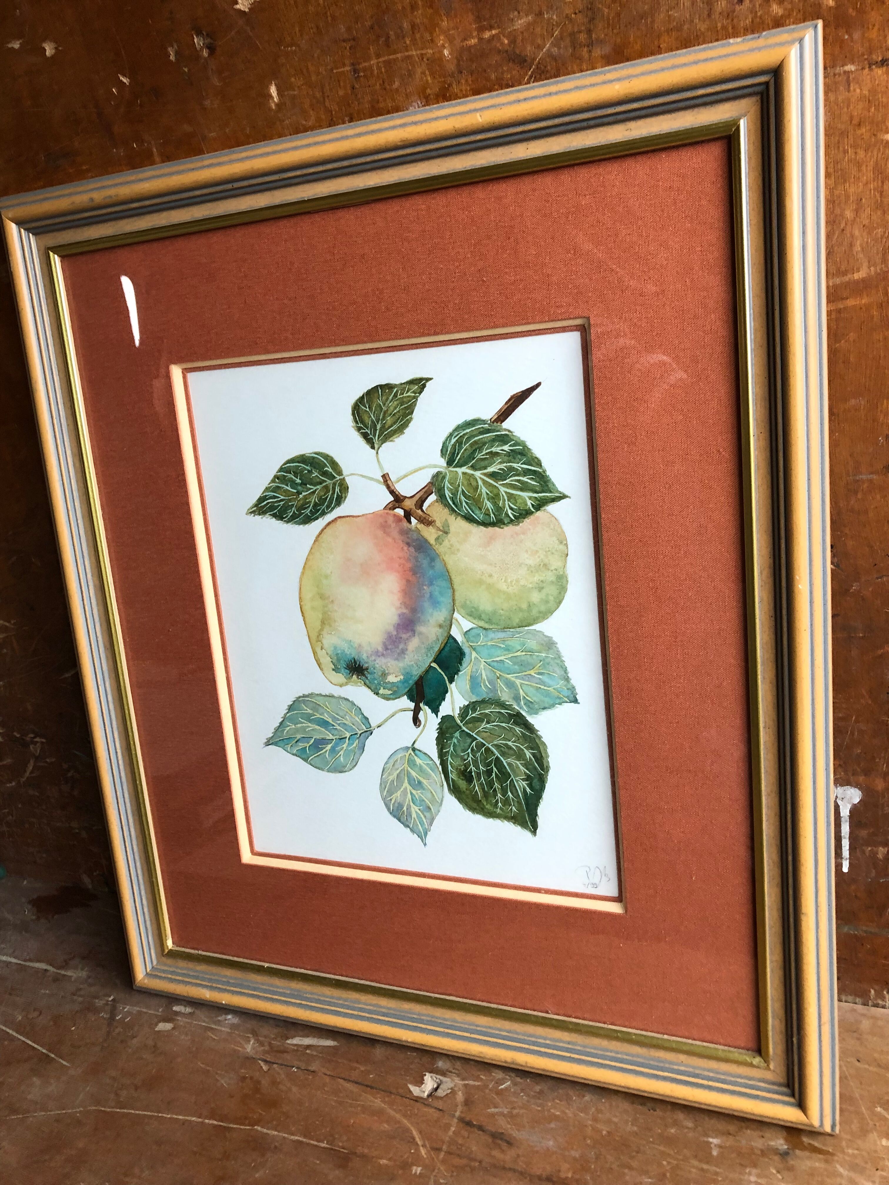 Old botanical lithograph patricia kounakowitch