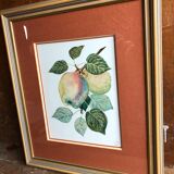 Old botanical lithograph patricia kounakowitch