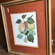 Old botanical lithograph patricia kounakowitch