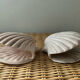 Duo of N shell-shaped towel holders in glazed ceramic