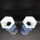Antique 19th century Delft pair of hexagonal vases - Petrus Regout Maestricht