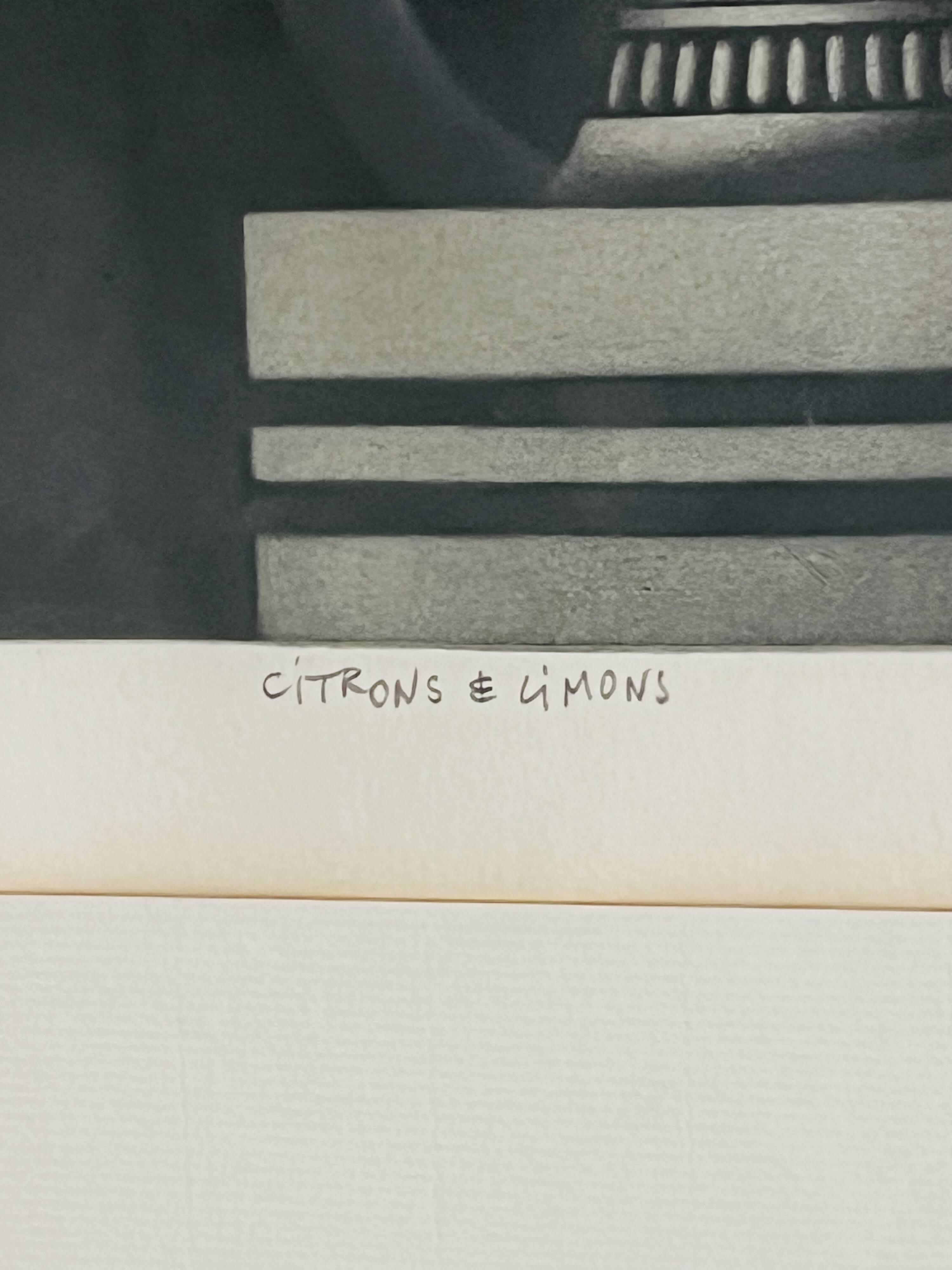 Mario avati « citrons et limons » manière noire en couleurs numéroté 5/65