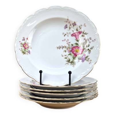6 assiettes creuses mitterteich bavaria vintage