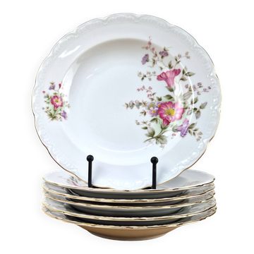 6 vintage deep plates MITTERTEICH Bavaria