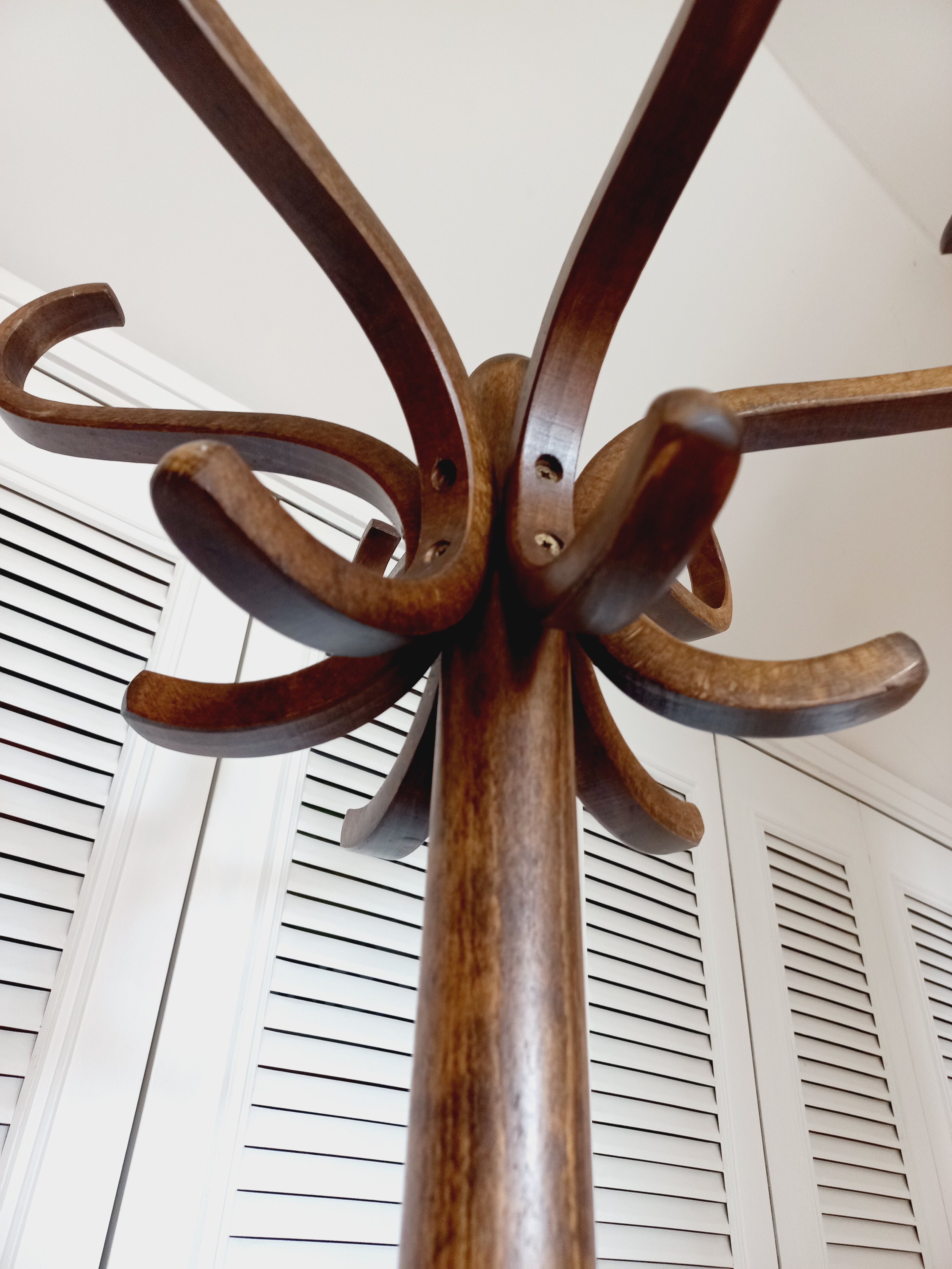 Vintage parrot coat rack