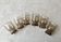 Set of 6 vintage alcohol glasses