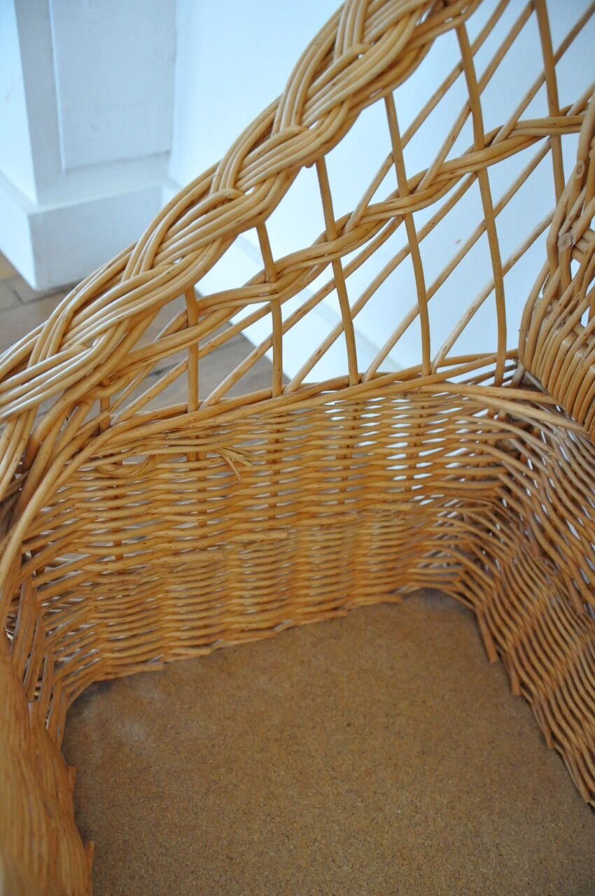 Rattan and wicker toy box