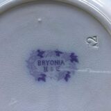 Plat de service Bryonia Sarguemines