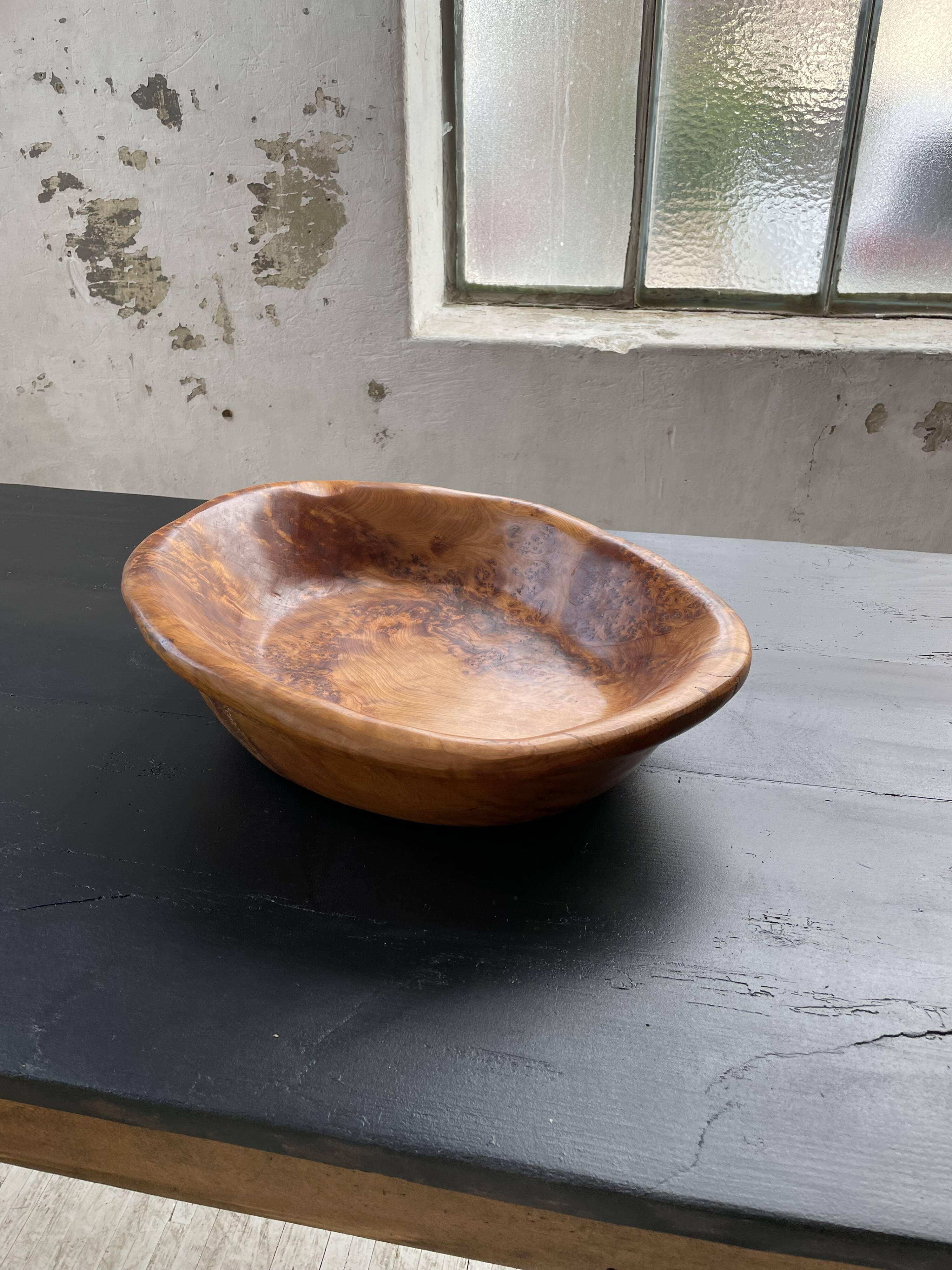 XL thuja root wooden dish