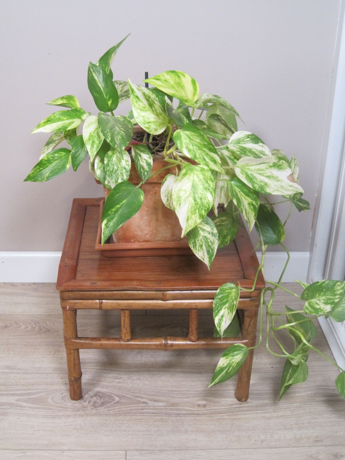 Old square side table 1970