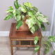 Old square side table 1970