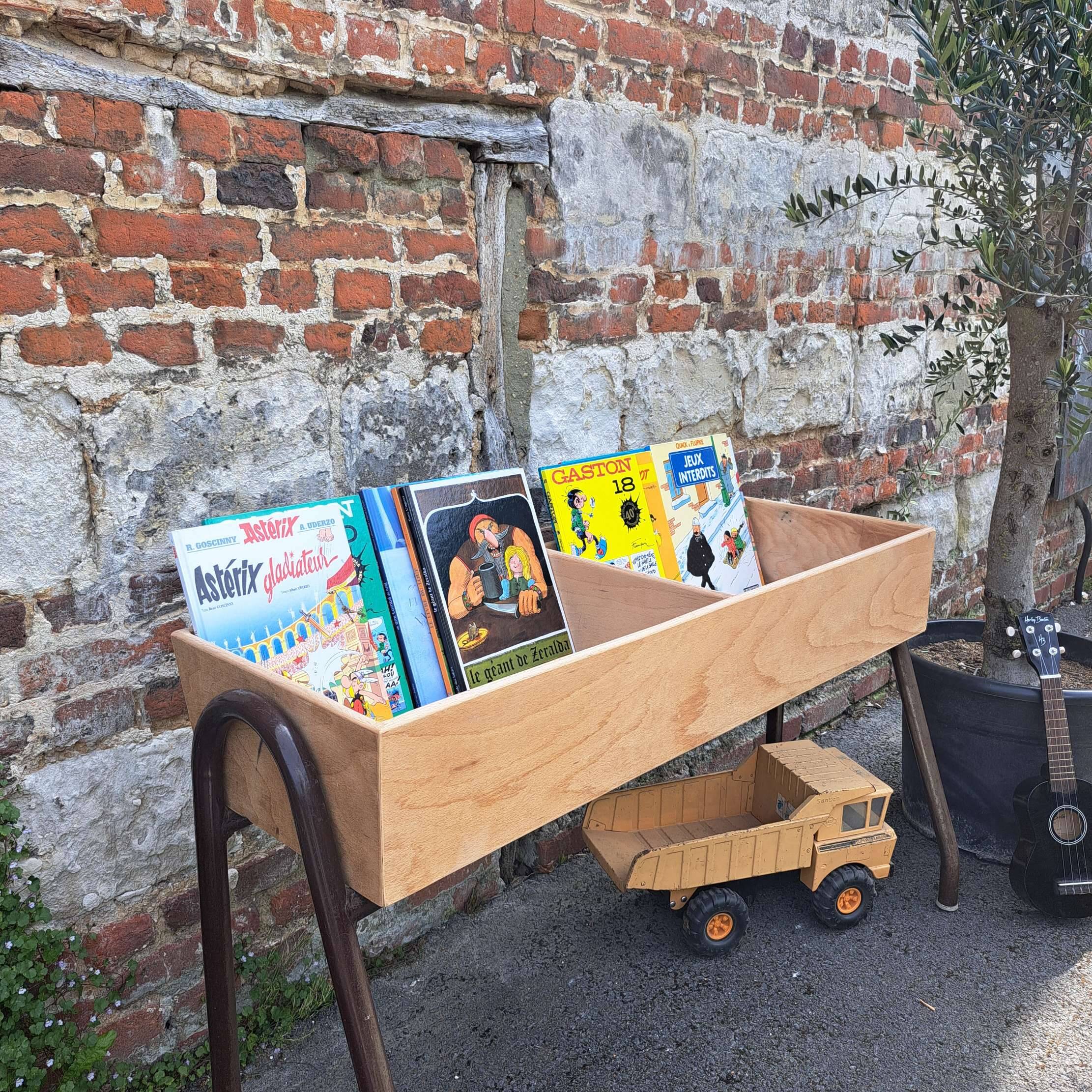 Bac à bd et livres