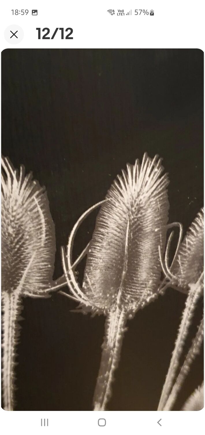 Vintage Office Paper Basket Massilly 60's Metal