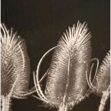 Vintage Office Paper Basket Massilly 60's Metal