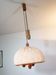 Teak Pull Pendant Ceiling Lamp Domus 1960s