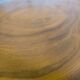 Coffee table, tree trunk top