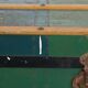 Large Antique Travel Trunk / Coffee Table from the Early 1900s with Handles