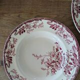Set of 6 hollow plates Longwy Azalee