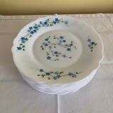 Myosotis veronica dessert plates