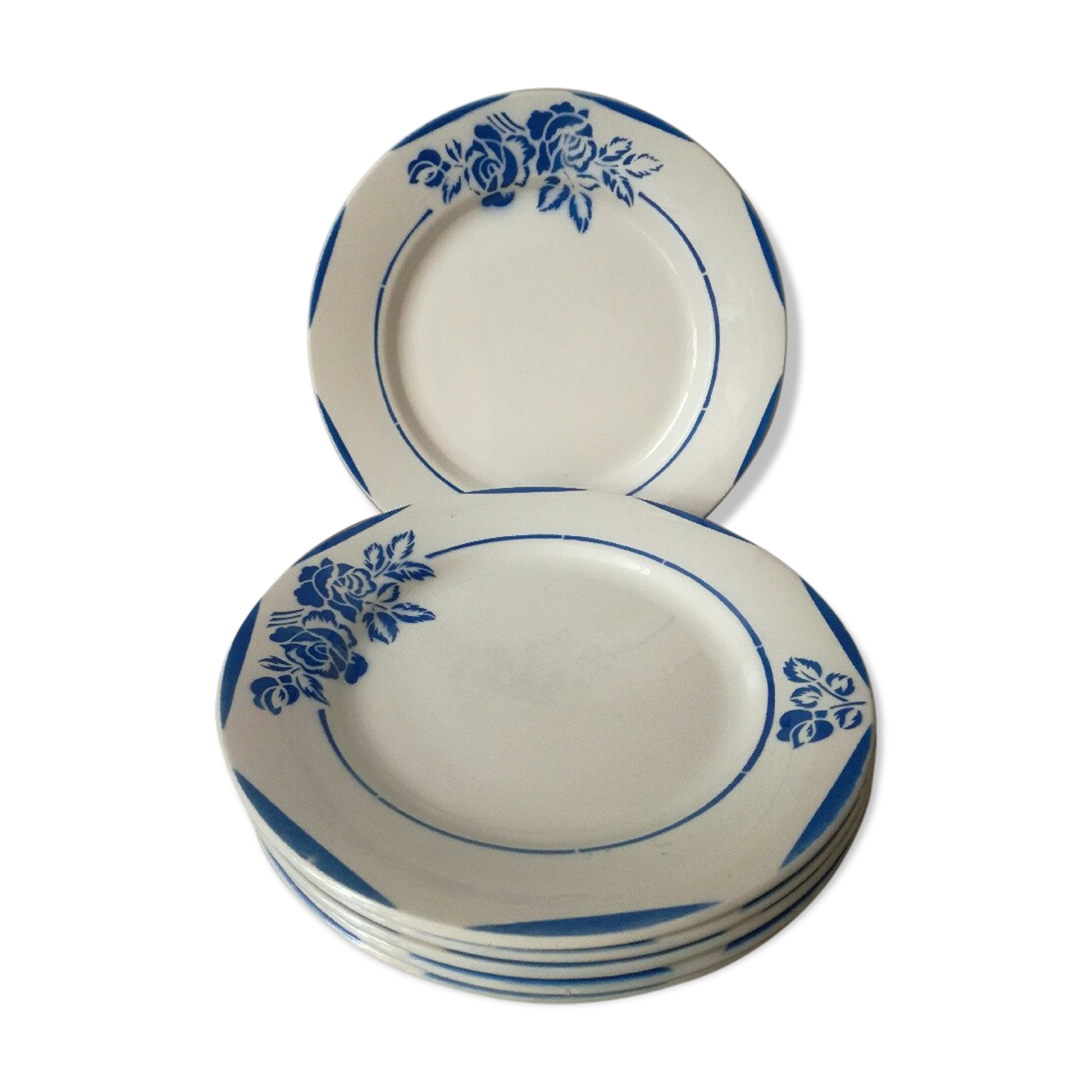 Dinner plates digoin