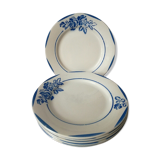 Dinner plates digoin