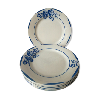 Dinner plates digoin