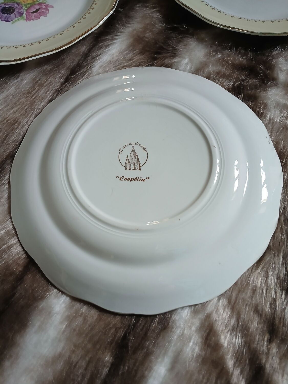 11 antique deep plates L'Amandinoise