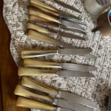 Box of 24 knives