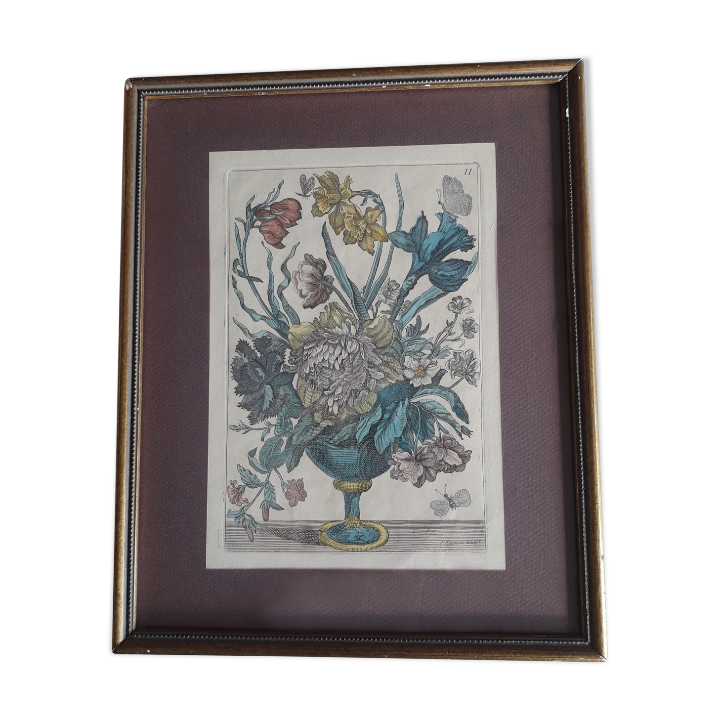 Ancient botanical engraving