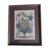 Ancient botanical engraving