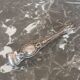 Antique silver metal sugar clamp