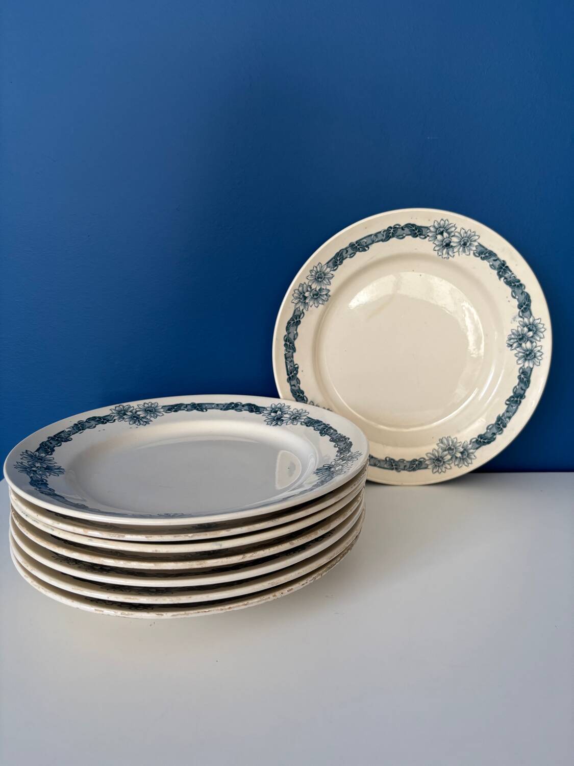 Set of 8 flat plates in Longchamp ironstone model Denise.