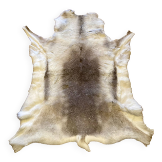 Real reindeer skin