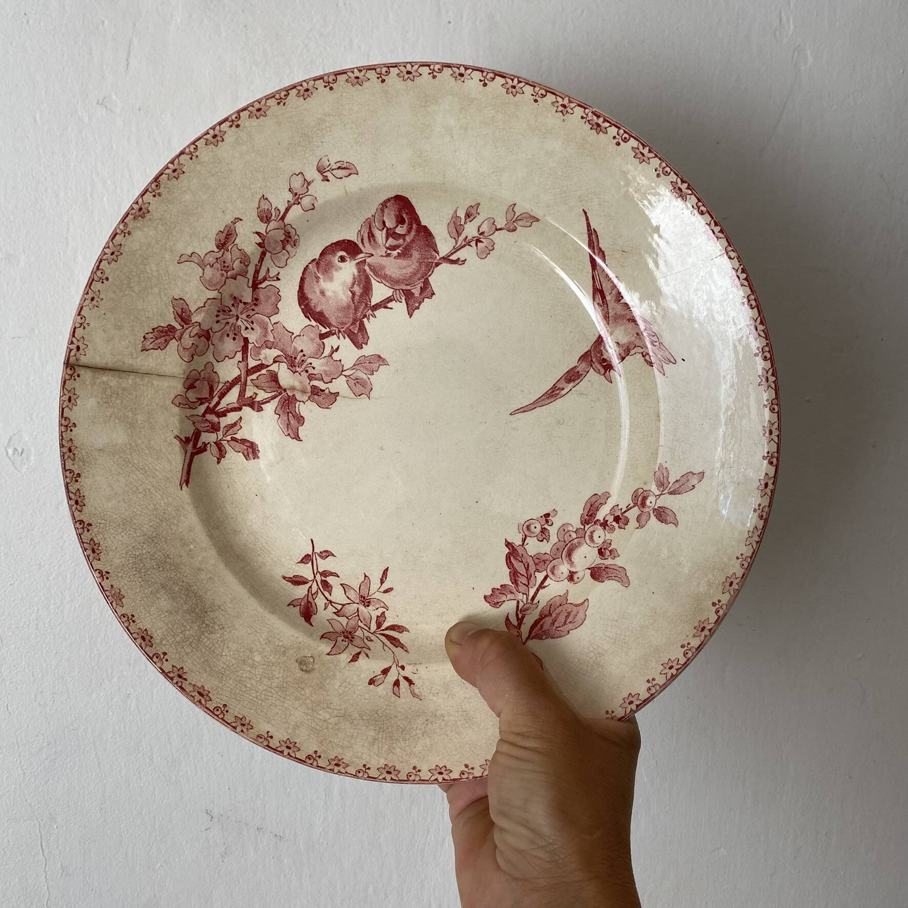 Round plate made of ironstone Sarreguemines Digoin model Favourite