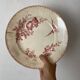 Round plate made of ironstone Sarreguemines Digoin model Favourite