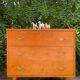 Commode vintage style scandinave