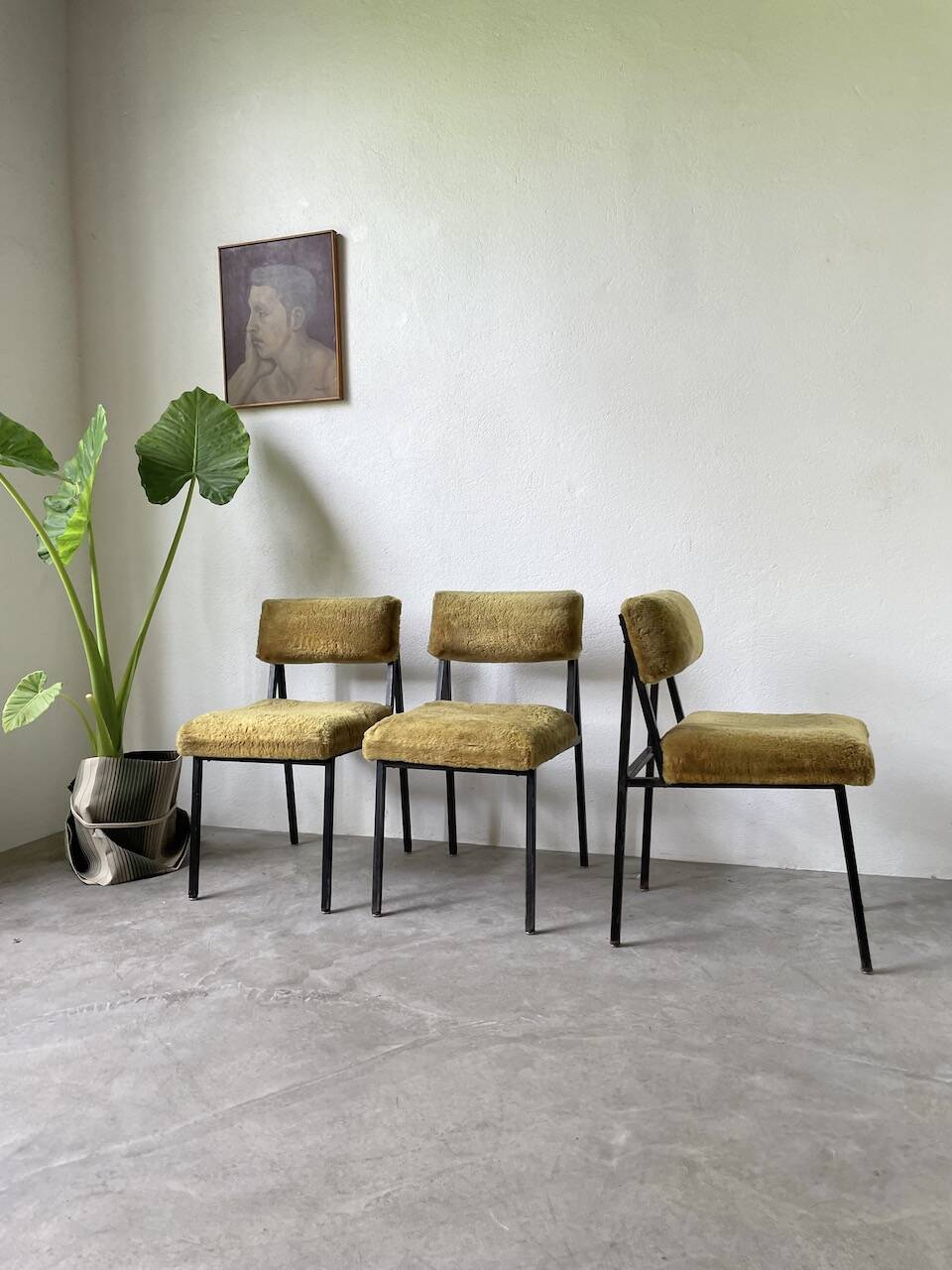 Set de trois chaises années 50