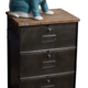 Furniture flaps Roneo