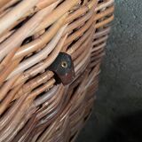 Wicker trunk