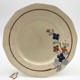 Sarreguemines plates model 5041