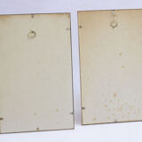 Lot de 2 cadres anciens botaniques