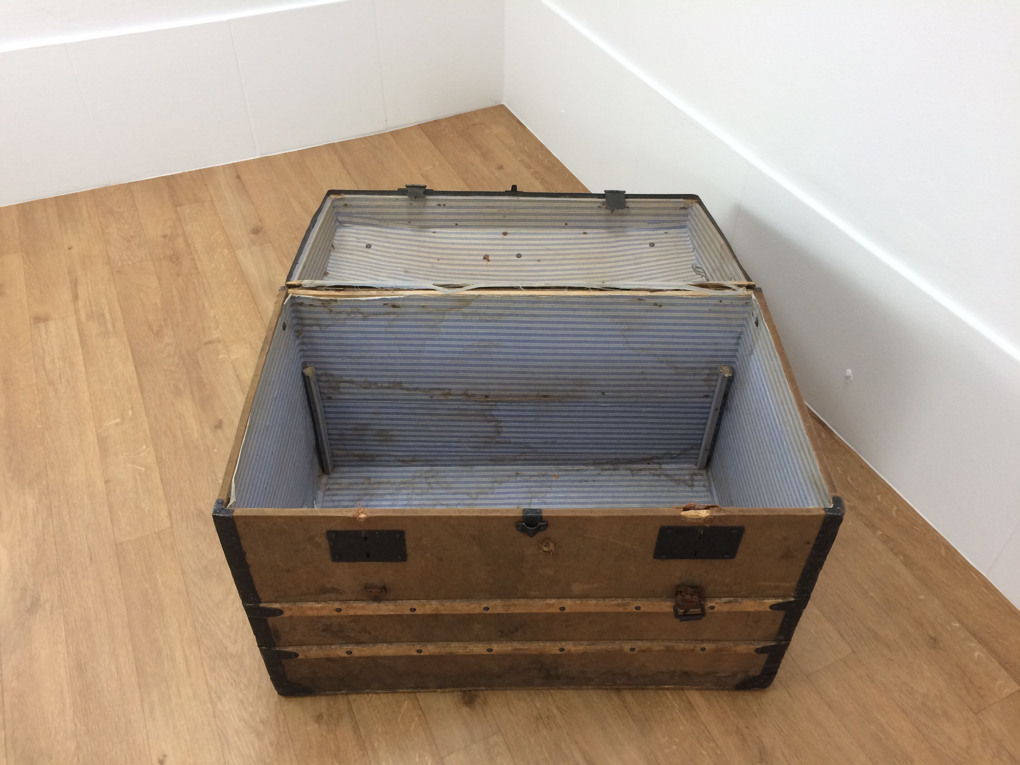 Bulging trunk at the tourist