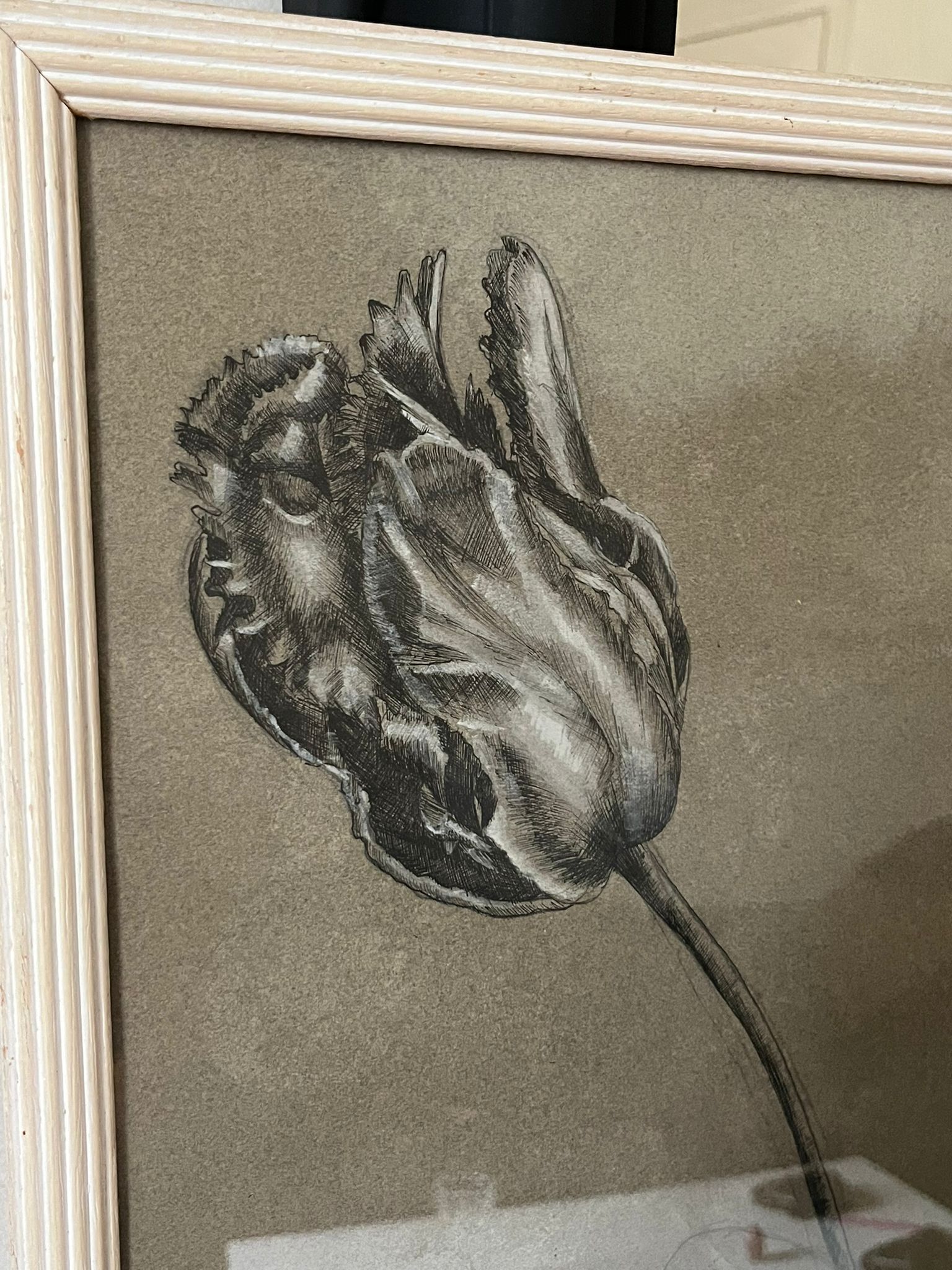 Etude documentaire d'une fleur, drawing, Dumant, 1951