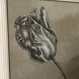 Etude documentaire d'une fleur, drawing, Dumant, 1951