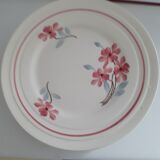 8 Plates in faience, white background with hand-painted pink flowers