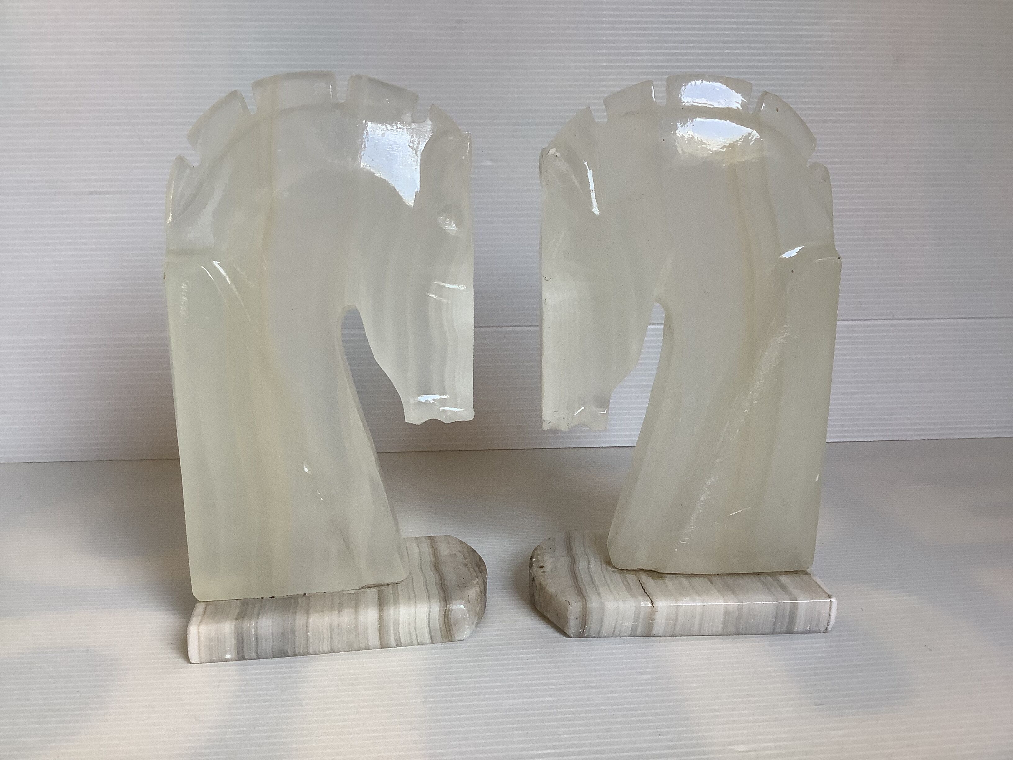 Pair of greenhouse books horses onyx