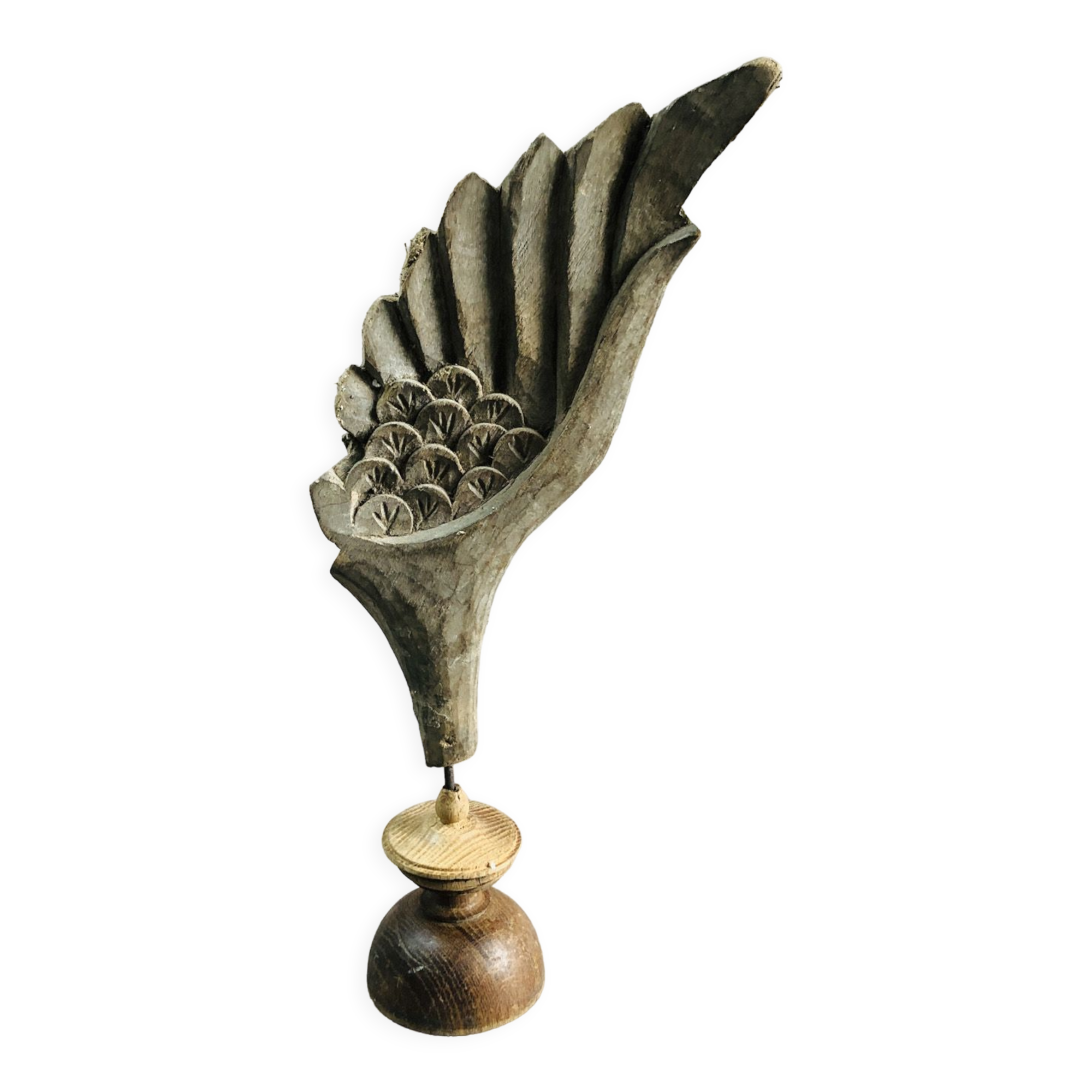 Old wooden wing on pedestal