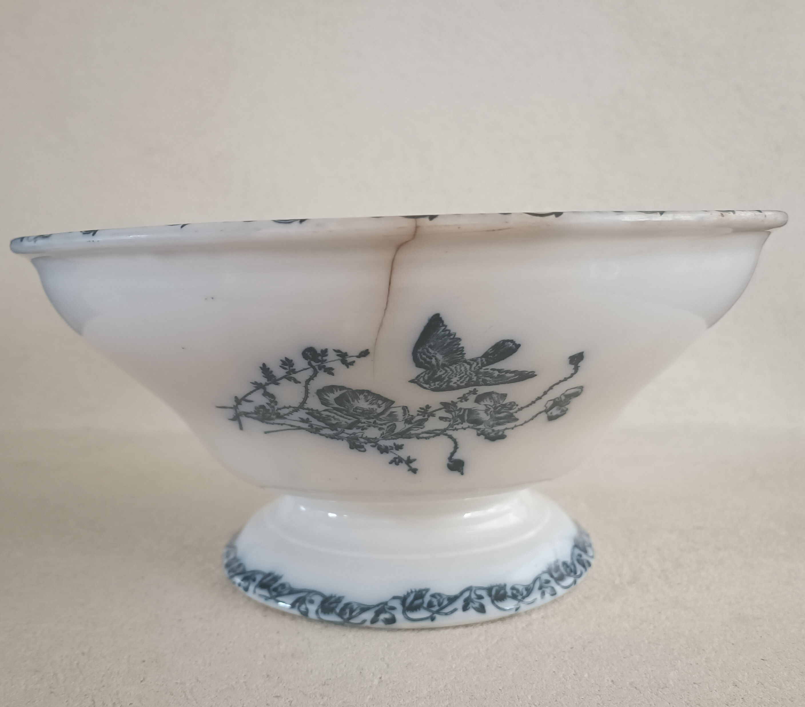 Onnaing iron earth service, plates, salad bowl and sausage maker