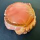 Terrine crab ceramic cake by Michel Caugant