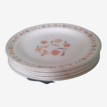 Six plates Arcopal flower décor 70s